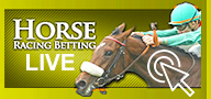 Horse race betting